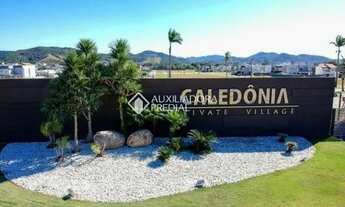 Imagem 2: CAMBORIú - Terreno Padrão - Santa Regina