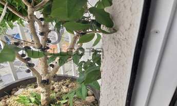 Imagem 5: Apartamento para venda tem 60 metros quadrados com 2 quartos em Cambuci - São Paulo - SP