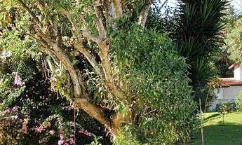 Imagem 5: Terreno à venda, 614 m² por R$ 492.000,00 - Granja Viana - Cotia/SP