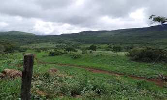 Imagem 2: Excelente fazenda em Niquelândia GO