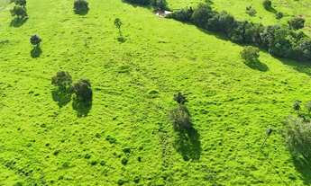 Imagem 6: Fazenda 5 alqueires com 2 águas e pasto formado - 13 km de Formoso-GO - Escuto propostas
