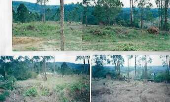 Imagem 6: Lote em Rua Galeão - Invernada - Embu das Artes/SP