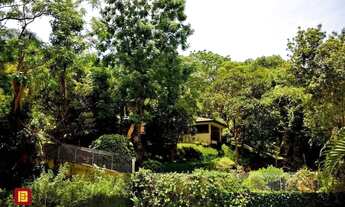 Imagem 2: Apartamento em Agronômica