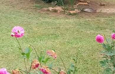 Imagem 7: Vendo sítio na Quintas da serra em Caeté próximo a serra da piedade