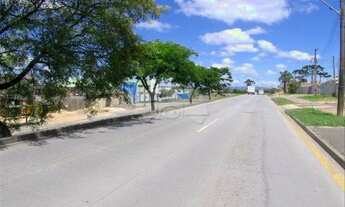 Imagem 3: Vendas Terreno Curitiba PR