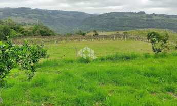 Imagem 2: Terra no interior de Monte Belo do Sul