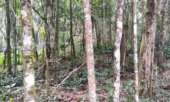 Imagem 4: Terreno por apenas 15 de entrada 40 de hum mil reais