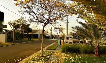 Imagem: Lote na Rua mais charmosa e arborizada do