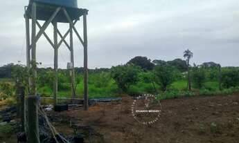 Imagem 5: Chácara com13.000 m², povoado do Trevo Zé Rosário, 14 km da Igrejinha