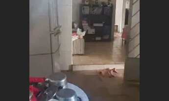 Imagem 2: Casa a venda em Arapongas Planaltina DF