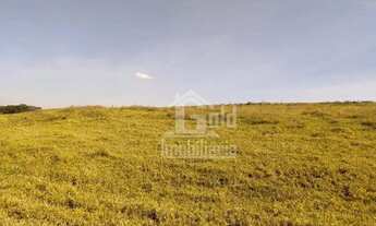 Imagem 5: Sitio com 22 alqueires na região de Cajuru-SP