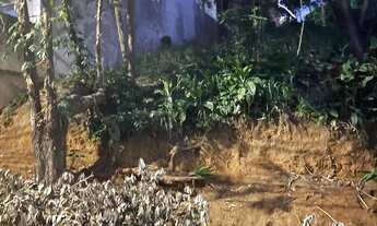 Imagem 2: VENDO TERRENO NA FREGUESIA