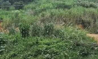 Imagem 7: TERRENO - VALE VERDE - SP