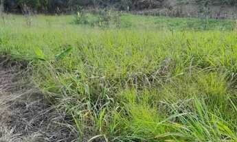 Imagem 2: Imóvel para venda tem 32000 metros quadrados em Campo Grande - Rio de Janeiro - RJ