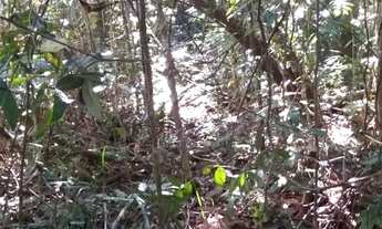 Imagem 4: Trancoso - Estrada dos Macacos