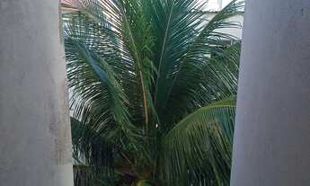 Imagem 2: Apto aluguel 03 quartos Itapuã