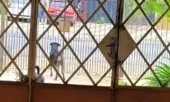 Imagem 3: SOBRADO - LAPA - SP