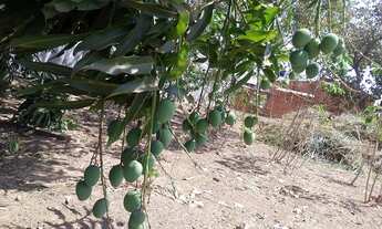 Imagem 4: Lote Localizado em Várzea Grande