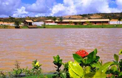 Imagem 6: TERENO NO HARAS RESIDENCE