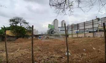 Imagem 6: Terreno à venda e para alugar em Campinas, Jardim Bela Vista, com 1100 m²