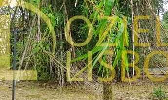 Imagem 5: CHÁCARA 25 HECTARES 25.000 ESCRITURADA 2 CASAS SEDE PISCINA CHURRASQUEIRA DF 180 PLANA 9