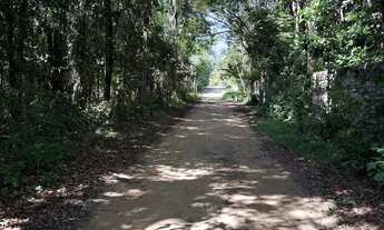 Imagem 6: Trancoso - Estrada dos Macacos