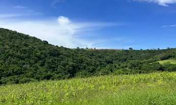 Imagem 5: Terrenos para Chácara em Ibiúna com Excelente Acesso