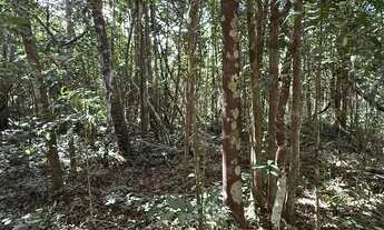 Imagem 5: Trancoso - Estrada dos Macacos