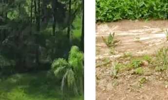 Imagem: Descubra o lote perfeito em Caucaia do Alto