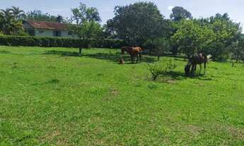 Imagem 3: Sítio no município de Itapetininga próximo da (usina vista alegre)com 2 alqueires ( escrit