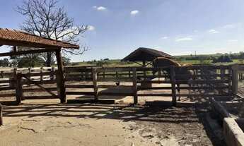 Imagem: Sitio em cajuru 3 alqueires 1.500.000.00