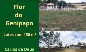 Imagem: Flor do Genipapo, Lotes por R$ 15.000,00