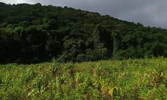 Imagem 7: Imóvel para venda tem 500 metros quadrados em Ressaca - Ibiúna - SP