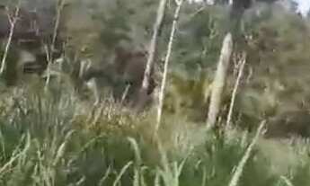 Imagem 3: Terra chapada Gaúcha