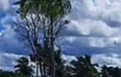 Imagem 6: Terreno no Sim, para Venda, no Condomínio Damha, Com Área de 312,62 m², em Feira de Santan