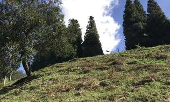 Imagem 3: Sítio em Urubici/área comercial/terreno urbano lote