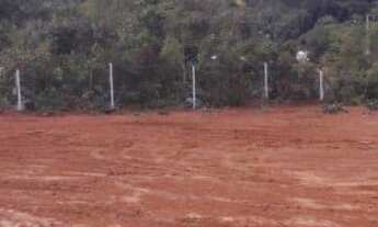 Imagem 5: Lotes em Mateus Leme