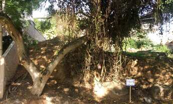 Imagem 2: Lote/Terreno para venda tem 494 metros quadrados