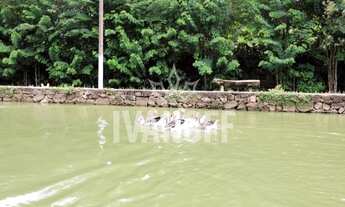 Imagem 6: Lindo sítio na região de São Roque-SP