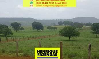 Imagem: Fazenda na região de Luzimangues dupla