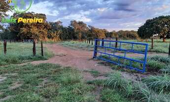 Imagem: FAZENDA À VENDA EM DUERE - TO - 435.6 HECTARES