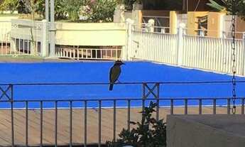 Imagem 6: Casa tríplex em cond. no Rio de Janeiro troca por imóvel em Brasília - DF