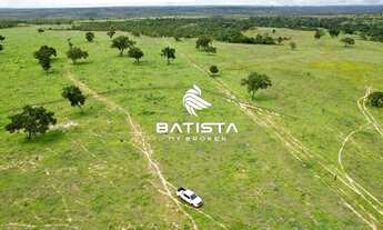 Imagem 3: Fazenda de 227 alqueires, 150 km de Palmas