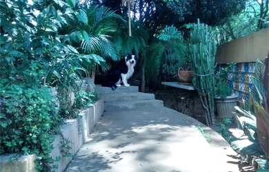 Imagem 4: Vende-se casa no Alto da Lapa. Precisa de modernização, mas a estrutura da casa é excelent