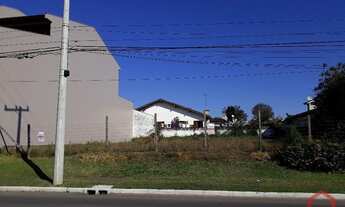 Imagem: SãO LEOPOLDO - Terreno Padrão - Pinheiro