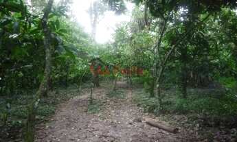 Imagem 4: Vende-se Fazenda bruta 871 ha no municipio de Belmonte-BA