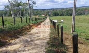 Imagem 6: Fazenda Pecuária no Sul da Bahia - OPORTUNIDADE