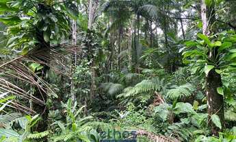 Imagem 4: Área à venda no bairro Porto grande - Araquari/SC