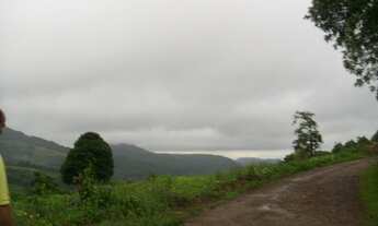 Imagem 7: Rolante - Terras / sítio/ Chácara 22.7 Hectares