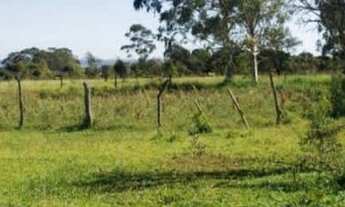 Imagem 4: Fazenda rural no município de caroebe